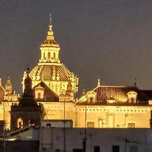 https://luxury-penthouse-with-private-pool-and-garage.es-andalucia.com